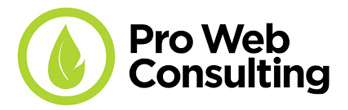 Pro Web Consulting